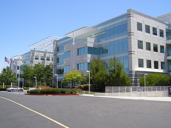 Commercial Window Tinting Project